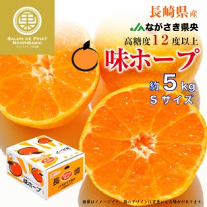 [予約 2023年 12月5日から12月30日の納品] 味ホープ みかん 約5kg Sサイズ 長崎県 JAながさき県央 高糖度 長崎 高級 産地箱 冬ギフト お