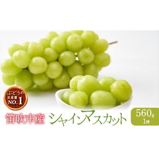 ふるさと納税 山梨県 笛吹市 ＜2024年先行予約＞笛吹市産シャインマスカット560g 9房サイズ 1房 212-001※離島（沖縄含む）への発送不可となります。※冷蔵配…