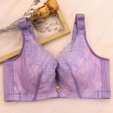 大碼美背文胸胖mm200斤收副乳防下垂大罩杯有鋼圈大胸顯小女內衣D