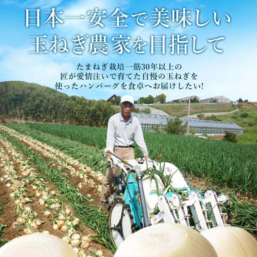 コロッケ 冷凍食品 60g×50個 淡路島玉ねぎ使用 牛肉入り 玉ねぎコロッケ タマネギ たまねぎ 玉葱  #淡路島コロッケ50個#