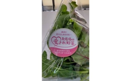 洗わずに食べられる！たむらの愛され野菜　ミックスリーフセット　10個