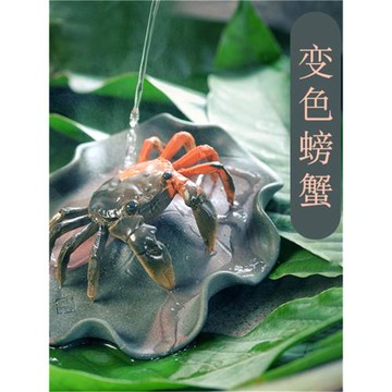 變色螃蟹茶寵精品可養抖音紫砂茶玩茶盤擺件招財茶寶手工禪意茶道