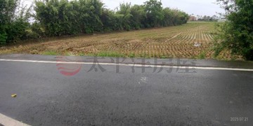 楊梅民有路甲建｜桃園市楊梅區民有段