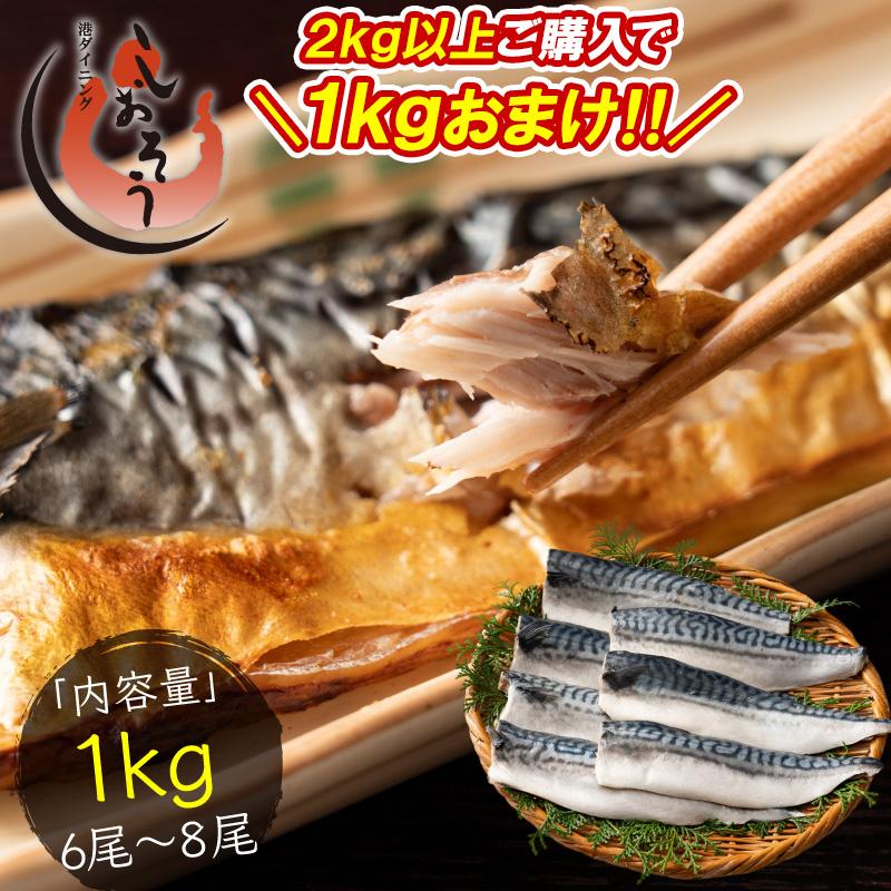  さば 無添加 無塩 トロさば サバ 鯖 約1kg(6〜8尾）トロ鯖 海鮮 天然 魚 魚介 海産物 おかず おつまみ 冬グルメ 冬ギフト