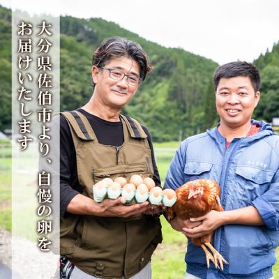 ふるさと納税 佐伯市 平飼い赤鶏のたまご (総量180個・S-Mサイズ30個×6回)