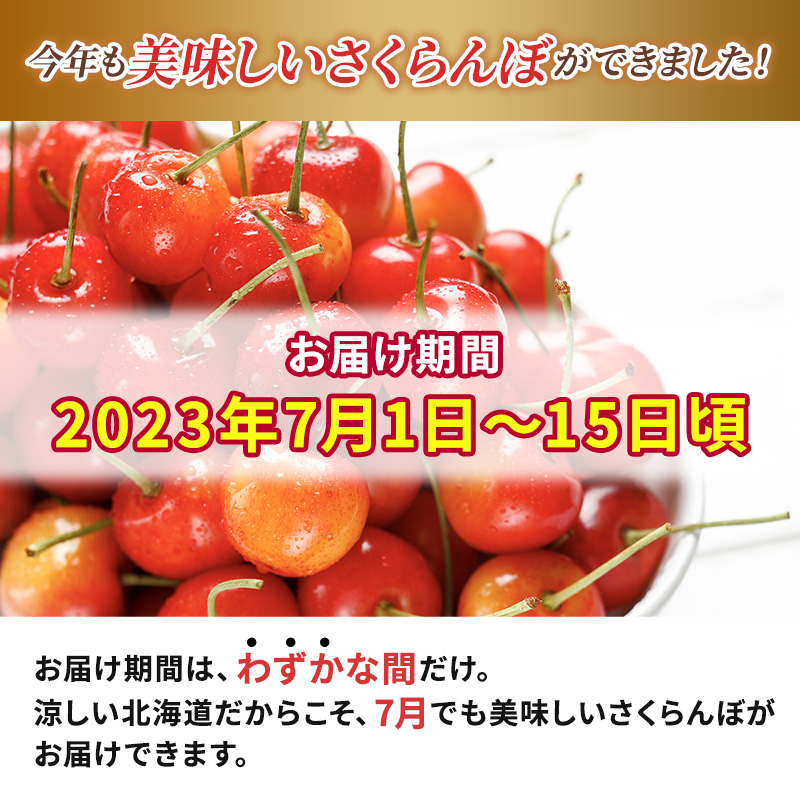 先行予約 横山農園 さくらんぼ800g（200g×4）