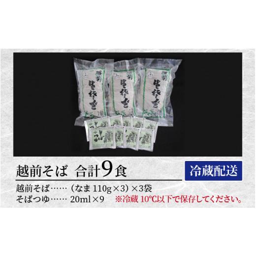 ふるさと納税 福井県 福井市 ヤマサ製麺 越前そば 9食 （3食袋×3）【蕎麦 おそば なまそば 生そば 生麺 麺類 越前蕎麦 和食 小分け 風味 のど越し つゆ付 冷…