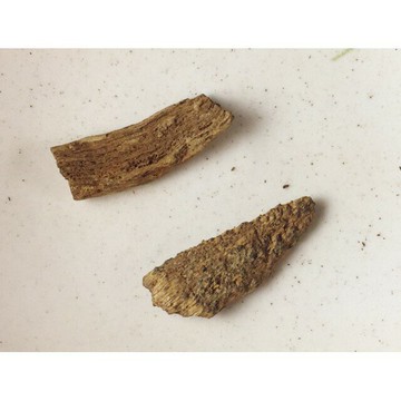 沉水~越南富森紅土沉香【周錦香】約0.9g 越南正區 濃甜蜜韻 甘醇奶香【特惠$3300】福森紅土 薰香 水沉 #4