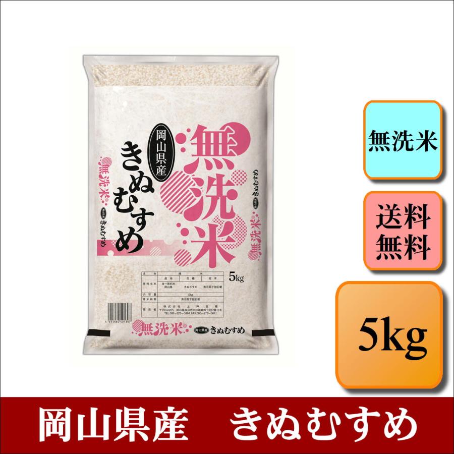 新米　お米　無洗米　白米　精米　令和５年産　岡山県産　おこめ　きぬむすめ　5kg　米