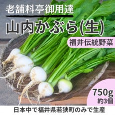 山内かぶら750g(約3個)