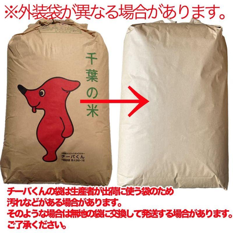 ふさおとめ 令和4年産 千葉県産 選別済 玄米 30kg (10kg×3) (Brown rice 10kg×3)