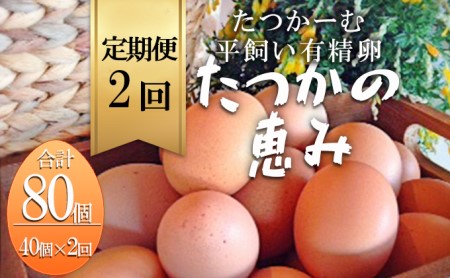 平飼い有精卵『たつかの恵み』40個×2ヶ月連続お届け