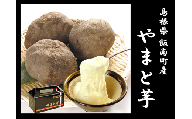 島根県飯南町産ヤマトイモ（つくね芋）約500ｇ×3個