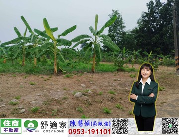 眺望大武山自建優選農地｜屏東縣高樹鄉新田子段