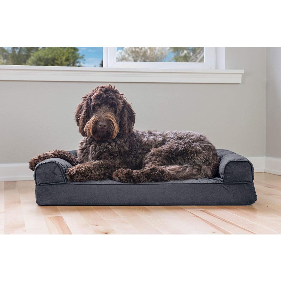 Furhaven Medium Memory Foam Dog Bed Quilted Sofa-Style w Removable