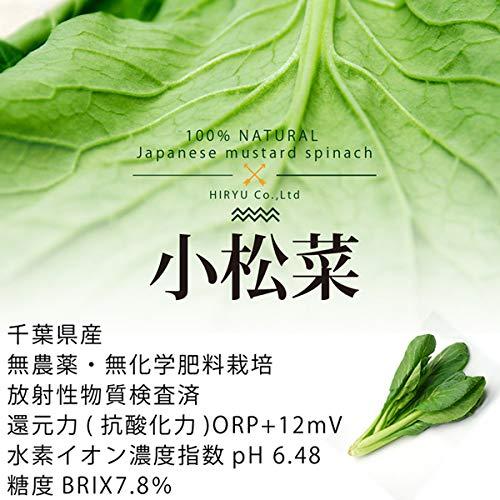 小松菜 1袋500g 国産 無農薬・無化学肥料