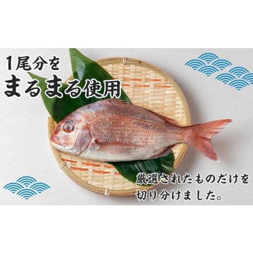 ふるさと納税 徳島県 徳島市 天然鳴門鯛鯛しゃぶセット（3〜4人前）