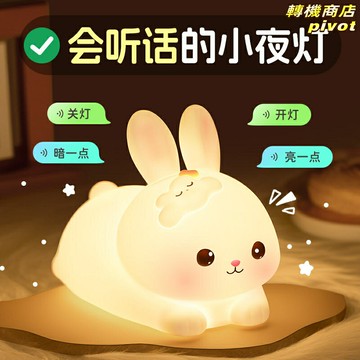 【智能聲控拍拍燈】小夜燈 生日禮物 聖誕禮物 兒童禮物 臥室床頭燈 睡眠氛圍燈 語音控制 柔光護眼 女孩閨蜜送禮