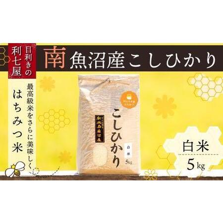 ふるさと納税 南魚沼産コシヒカリ『はちみつ米』白米5kg×全6回 新潟県南魚沼市