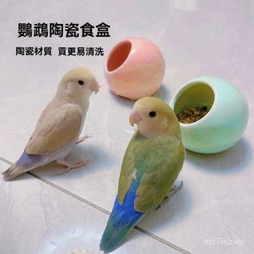 🔥鸚鵡專屬💥免運 鳥食盆 鸚鵡食盒 鳥籠配件 防濺食碗 鸚鵡陶瓷食碗食杯 食碗鸚鵡陶瓷食盆學喫食盆水壺食碗鸚鵡食盒牡丹玄
