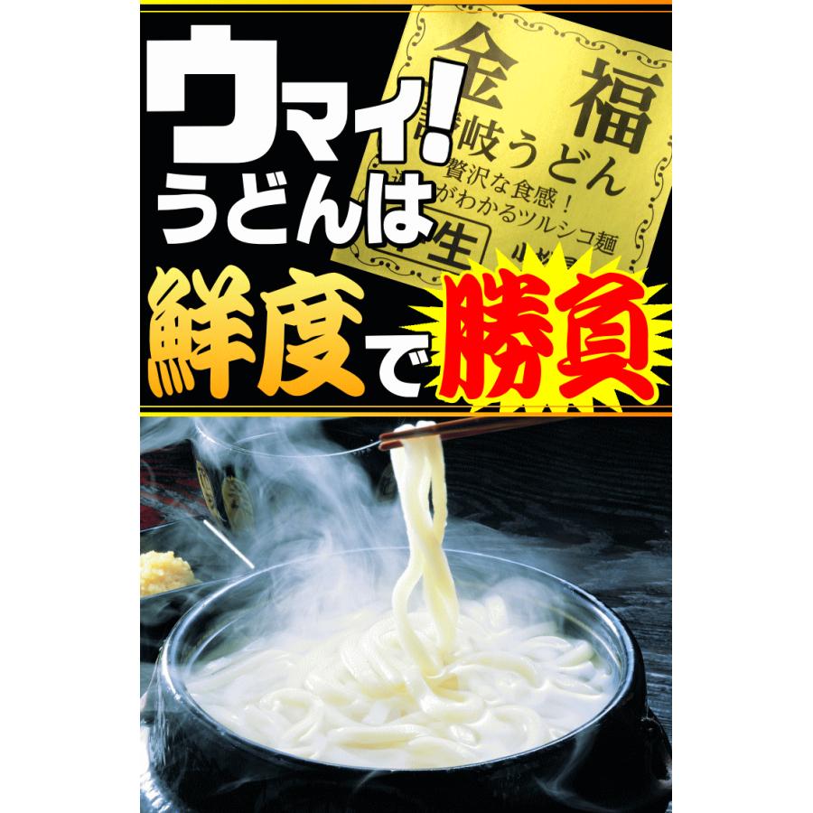 送料無料 うどん 金福純生 讃岐うどん ！1人前食べ切り個包装タイプ！5食セット ネコポス お試し 讃岐 送料無 激安 生麺 生うどん