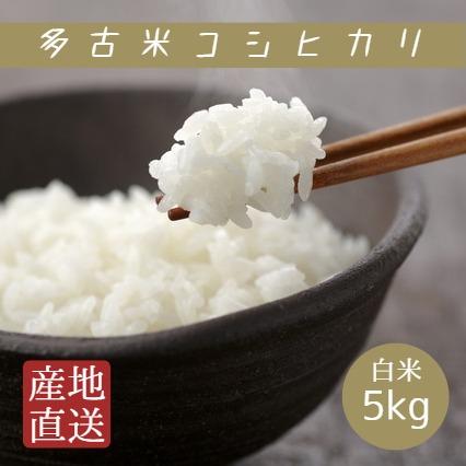 新米 米 お米 白米 5kg 令和5年産 多古米 コシヒカリ 本州四国 送料無料