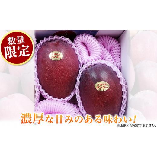 ふるさと納税 沖縄県 南城市 アップルマンゴー 秀品 南城市 約1kg (2〜3玉)