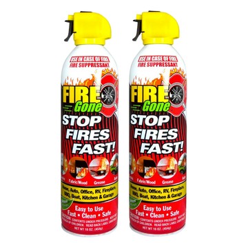 Fire Gone滅火器 2入