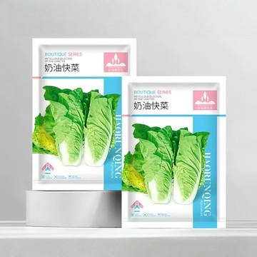【現貨可開收據】大包裝 奶油快菜種子（約1000粒）20天收成！速生小白菜種子農家青菜蔬菜種子葉菜/原裝包對版