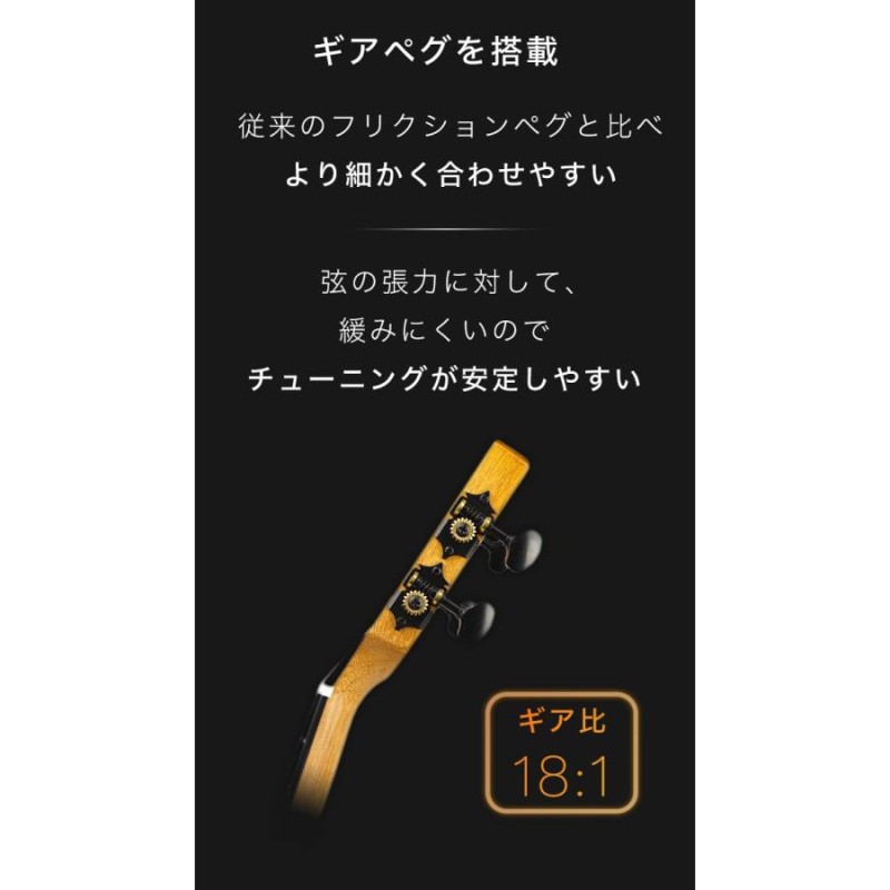 Aostinオースティン AC100 ウクレレ コンサートサイズ