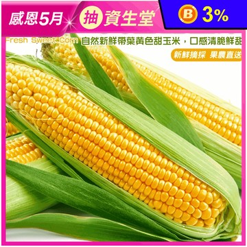 【果農直配】新鮮帶葉黃色甜玉米(5斤/10斤/箱)