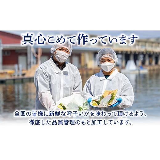 ふるさと納税 佐賀県 唐津市 唐津呼子産いか活造り 2杯(約250g×2) 急速冷凍 新鮮そのまま食卓へ！イカ 刺身 簡単 ギフト