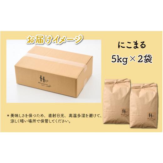 ふるさと納税 福井県 あわら市 にこまる 5kg×2袋（計10kg）