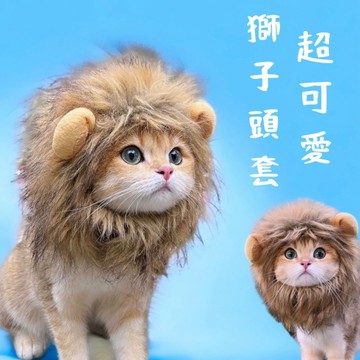 【R&R 台灣現貨】寵物可愛獅子頭套 / 寵物保暖頭套 小耳朵帽 寵物帽  寵物變裝 貓咪頭飾