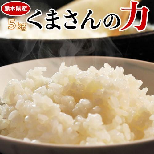 《送料無料》熊本県産　『くまさんの力』　白米 5kg　※常温○