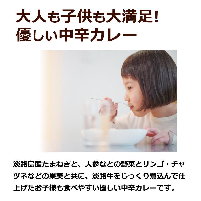 カレー レトルトカレー 中辛 淡路島たまねぎビーフカレー 200g×3袋 玉ねぎ 玉葱 淡路牛 オニオン メール便 送料無料