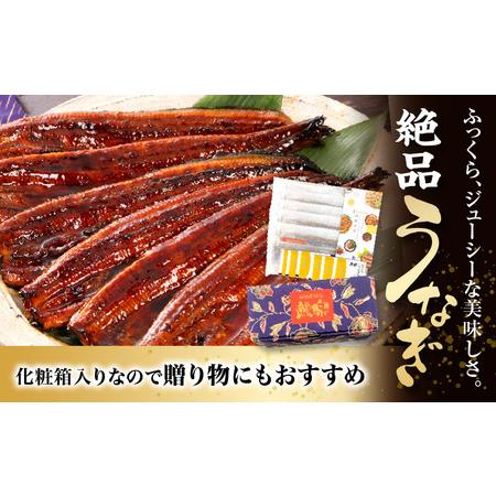 ふるさと納税 うなぎ 鰻 うなぎ蒲焼 ウナギ蒲焼用たれ 蒲焼 たれ 国産 うなぎ蒲焼6尾（計1,020ｇ以上）国産うなぎ 宮崎県宮崎市