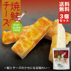焼鮭チーズ 48g 7個入 ×3個セット 送料無料 メール便 丸市食品 北海道 お土産 鮭 サーモン チーズ 珍味 おつまみ お菓子 ギフト プレゼ
