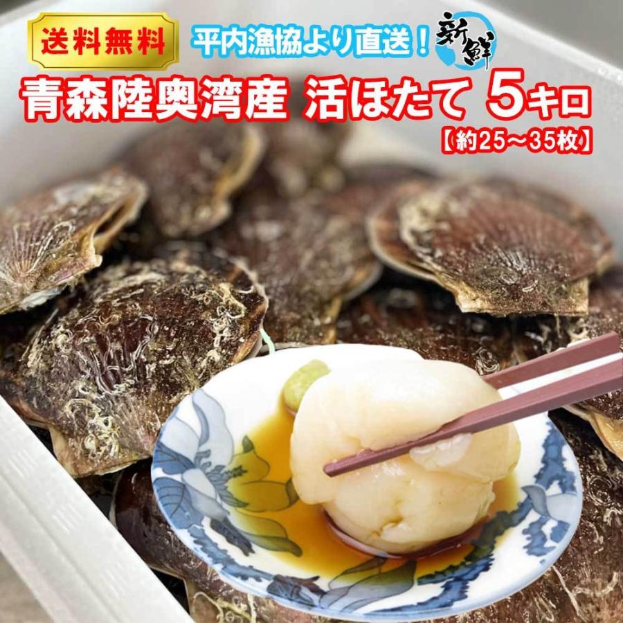 ホタテ 殻付き 活ホタテ 青森陸奥湾産 5キロ 送料無料 生食 刺身 通販 OXY元気！