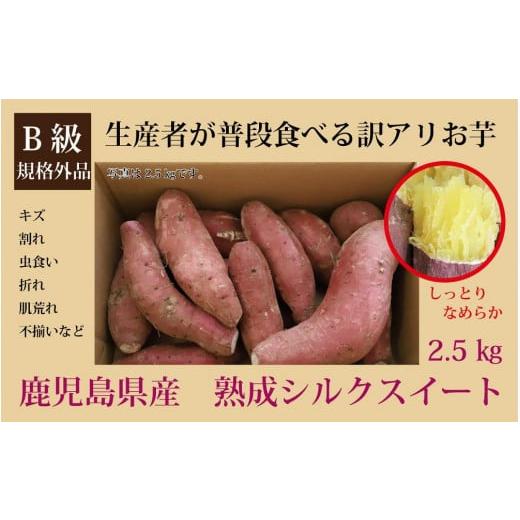 ふるさと納税 鹿児島県 南大隅町 訳あり シルクスイート 2.5kg 1箱 熟成 さつまいも  鹿児島県産