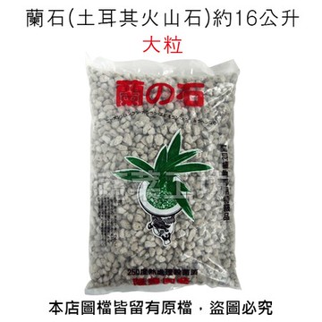 蘭石(土耳其火山石)約16公升-大粒(偏特大粒)