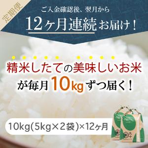 ふるさと納税  米 10kg まっしぐら 青森県産 （精米・5kg×2） 青森県五所川原市