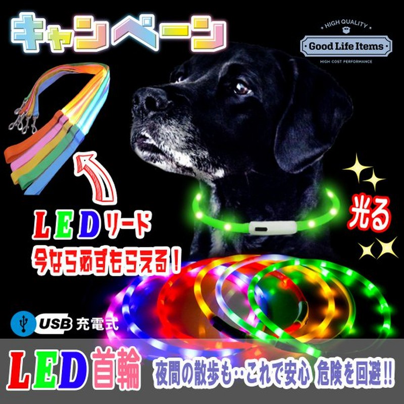 犬 首輪 光る 光るリードセット 光る首輪 リード Ledライト 軽い Usb充電 夜間散歩 通販 Lineポイント最大0 5 Get Lineショッピング