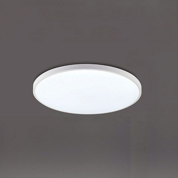 24W 單色防水吸頂燈 L01-2032