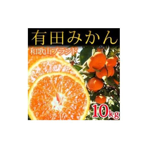 ふるさと納税 和歌山県 那智勝浦町 完熟有田みかん　10kg