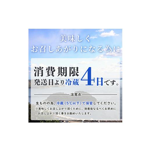 ふるさと納税 兵庫県 赤穂市 牡蠣 生食 坂越かき むき身 500g(サムライオイスター) 生牡蠣 冬牡蠣