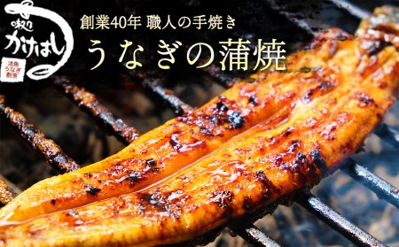 全てが職人による手焼き うなぎの蒲焼き 2尾