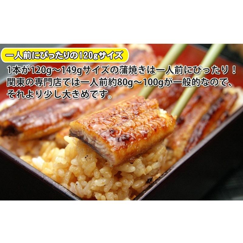 国産うなぎ蒲焼き120g×1本 鰻 ウナギ ギフト プレゼント 蒲焼