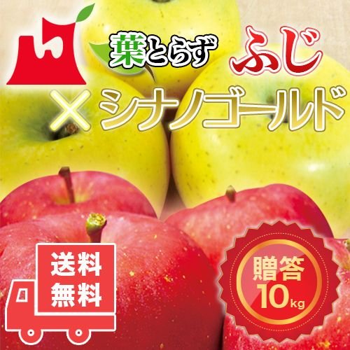 送料無料　青森県産　葉とらず　ふじ・シナノゴールドセット ご贈答用10kg　(約28〜36個)プレミアムリンゴギフトに最適 青森産サンふじ