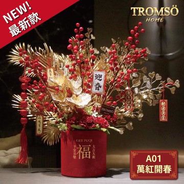 【TROMSO】金喜發財果新年花禮花籃A系列-大(多款任選)
